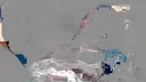 الحمار اليشم ركوب رمح رومنسي سكسي