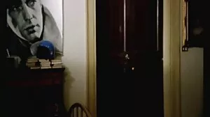 تانا ليا في المنزل المعتوه سكسي رومانسي متحرك رأس أحمر كبير